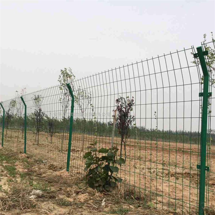 安徽农场铁丝围栏网图片3