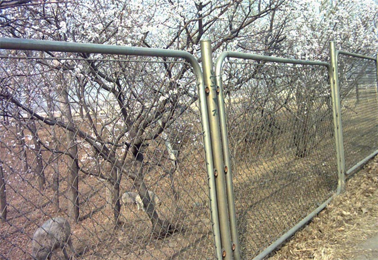 安徽动物园隔离网图片3