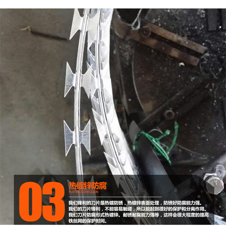 新疆304不锈钢刺丝滚笼围网生产加工出售图片4