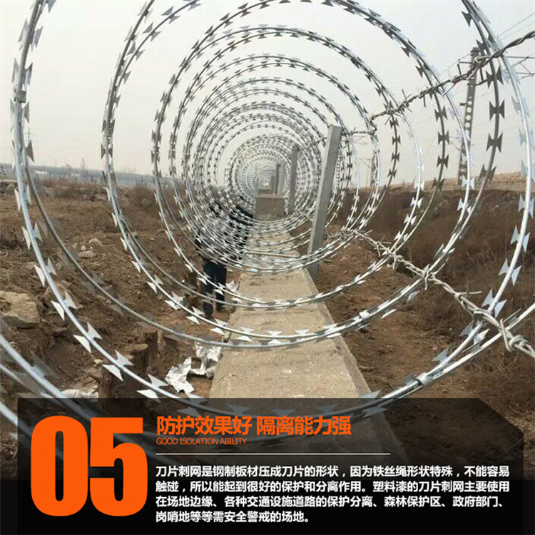 广东304不锈钢刺丝滚笼围网生产加工出售图片6
